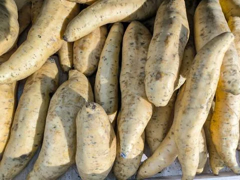 Sweet potato 스톡 사진