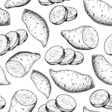 Sweet potato seamless pattern. Vector drawing. Isolated Vegetabl Stock Illustration