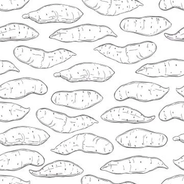 Sweet potato.  Vector seamless pattern. Stock Illustration