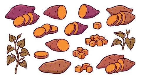 Sweet Potato Vector Set Stock Illustration