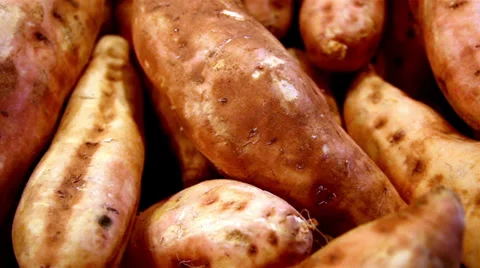Sweet potatoes all in line Stock Footage 32548899