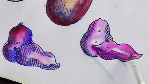 Sweet potatoes Stock Footage 291337819