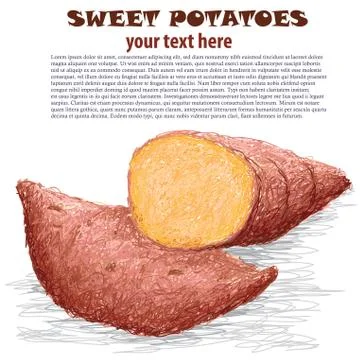 Sweet potatoes Stock Illustration