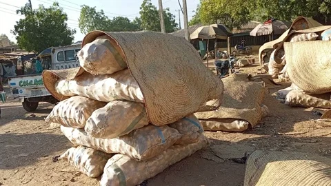 Sweet Potatoes Packed In Sacks At Dakata Market Kano Nigeria Видео 321804698