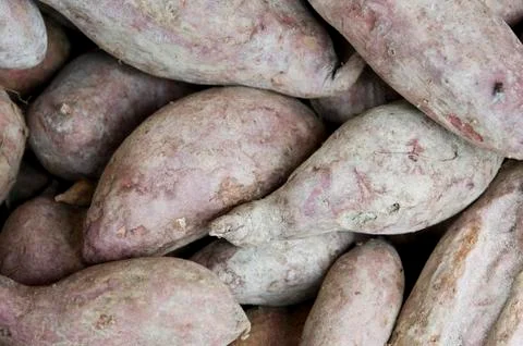 Sweet potatoes Stock Photos