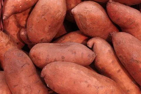 Sweet potatoes Stock-Fotos