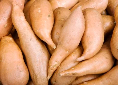 Sweet Potatoes Stock Photos