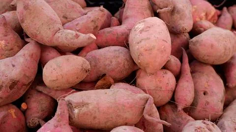 Sweet Potatoes Stock Photos