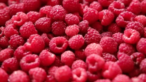 Sweet raspberry background. Full frame of fresh raspberries. Red ripe berry Video stock 282711339