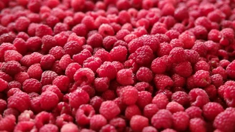 Sweet raspberry background. Full frame of fresh raspberries. Red ripe berry Video stock 283761944