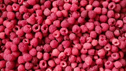 Sweet raspberry background. Full frame of fresh raspberries. Red ripe berry Video stock 284232861