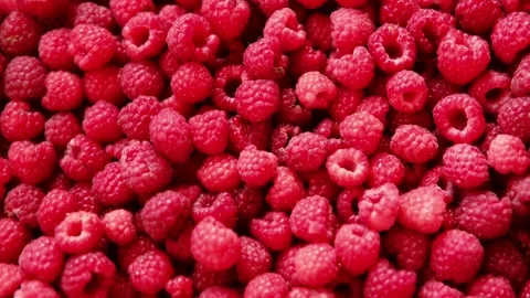 Sweet raspberry background. Full frame of fresh raspberries. Red ripe berry Stock Footage 284461882