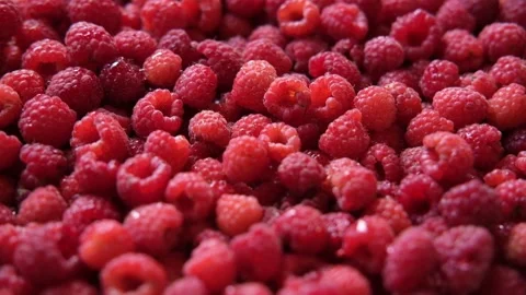 Sweet raspberry background. Full frame of fresh raspberries. Red ripe berry Stock Footage 295212121