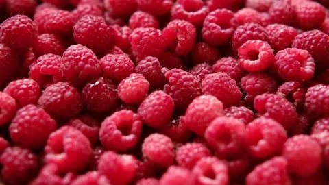 Sweet raspberry background. Full frame of fresh raspberries. Red ripe berry Video stock 297839490