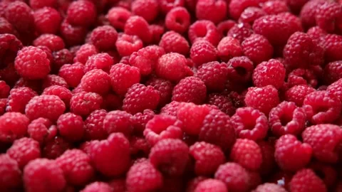 Sweet raspberry background. Full frame of fresh raspberries. Red ripe berry Video stock 313156416