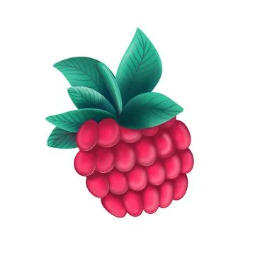 Sweet raspberry with bright leaves Illustrazione stock