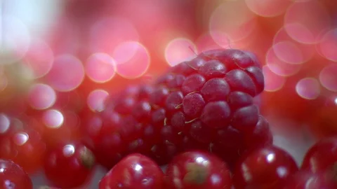 Sweet raspberry Stock Footage 98762842