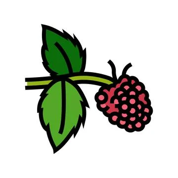 Sweet raspberry fruit color icon vector illustration Stockillustratie