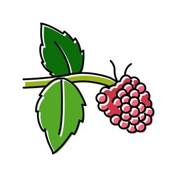 Sweet raspberry fruit color icon vector illustration 스톡 일러스트