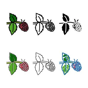 Sweet raspberry fruit color icon vector forms Stock Illustration