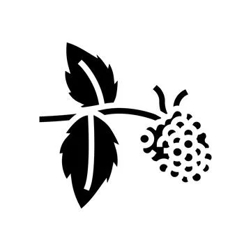 Sweet raspberry fruit glyph icon vector illustration 스톡 일러스트
