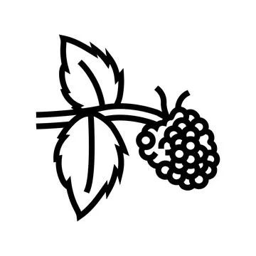Sweet raspberry fruit line icon vector illustration Stockillustratie