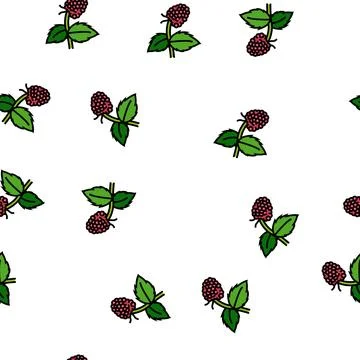 Sweet raspberry fruit vector seamless pattern Stock Illustration