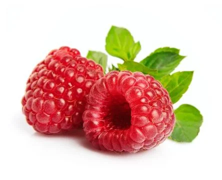 Sweet raspberry with leafs Stock Photos