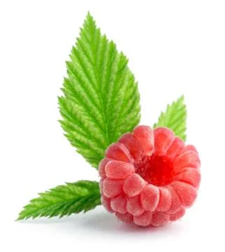 Sweet raspberry Stock Photos