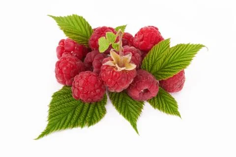 Sweet raspberry Stock Photos