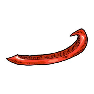 Sweet red bell pepper slice. Vintage vector engraving color illustration. Illustrazione stock