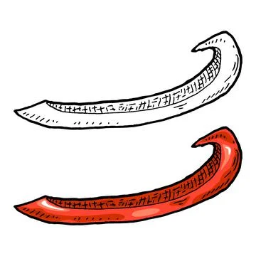 Sweet red bell pepper slice. Vintage vector engraving color illustration. Illustrazione stock
