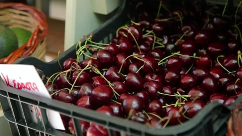 Sweet red cherries in the box. Stock Footage 197376716