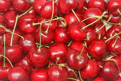 Sweet red cherry background Stock Photos