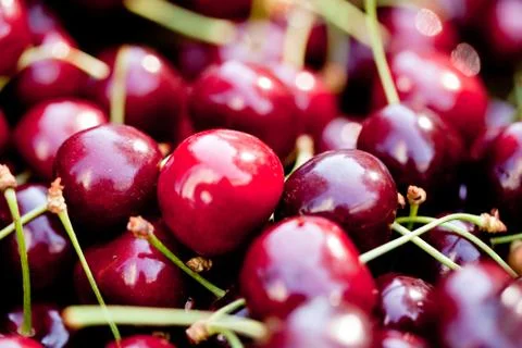 Sweet red cherry closeup macro on market outdoor Stock Photos