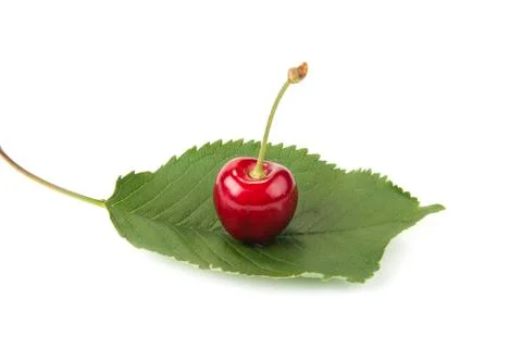 Sweet red cherry on the white background Stock Photos