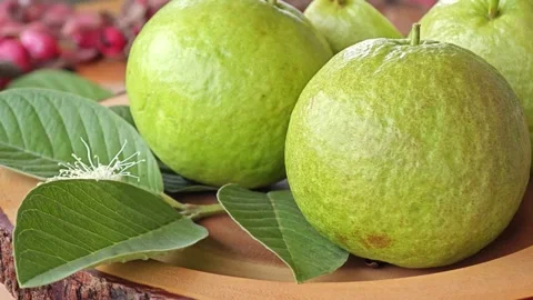 Sweet red guava fruit with leaf. Stock Footage 306760682