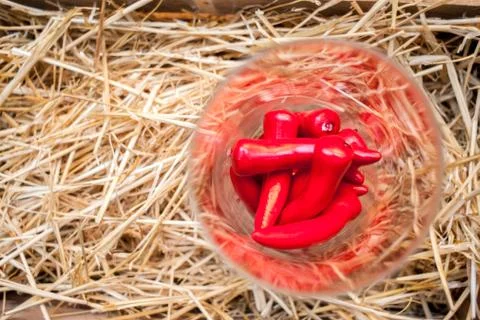 Sweet red pepper kapi, three peppers on white wooden table, pepper, chile, ch Stock Photos