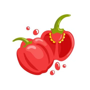 Sweet red pepper vector illustration glossy, plump pepper with subtle shading Stock Illustration