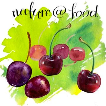 Sweet red ripe cherries isolated on white background. illustration. handmade Stock Illustration