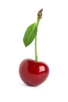Sweet ripe cherry Stock Photos