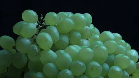 Sweet ripe grapes 스톡 동영상 79727629