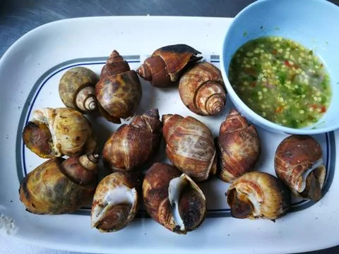 Sweet shells grilled Stock Photos