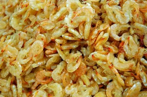 Sweet shrimp Stock Photos