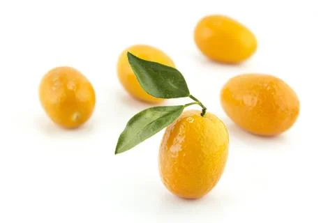 Sweet Small Orange Stock Photos