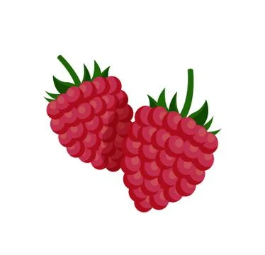 Sweet Small Raspberry with Fruit-stalk Poster Illustrazione stock