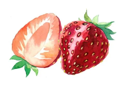 Sweet strawberry Stock-Illustration