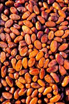 Sweet Succulent Dates Stock Photos