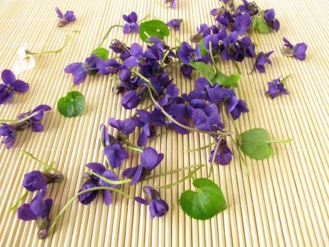 Sweet violets Stock Photos