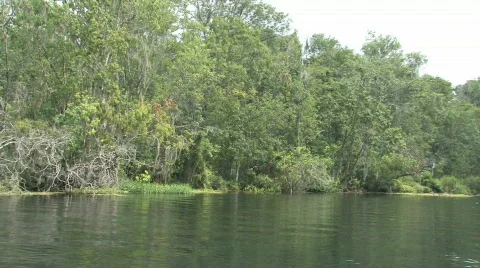 Sweet water spring Stock Footage 319025